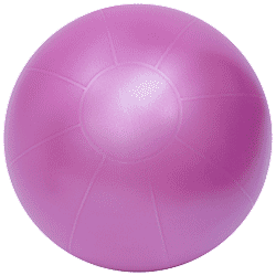 https://www.theragear.ca/images/products/55cm_pro_ball250clr.gif