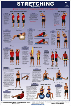 Exercise Books And Posters Stretching Upper Body Laminated Fitness Workout